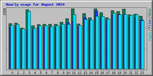 Hourly usage for August 2024