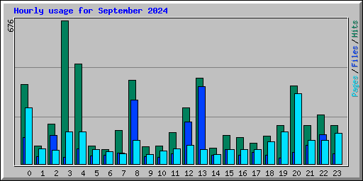 Hourly usage for September 2024