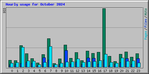 Hourly usage for October 2024