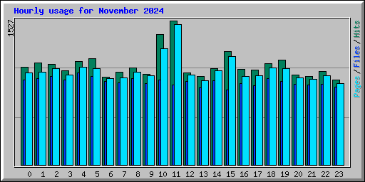 Hourly usage for November 2024