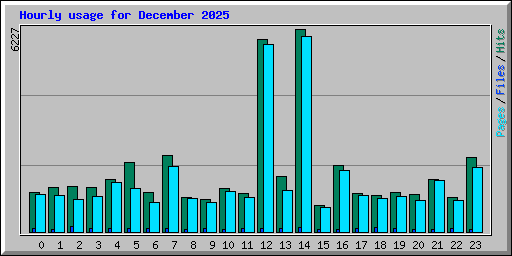 Hourly usage for December 2025