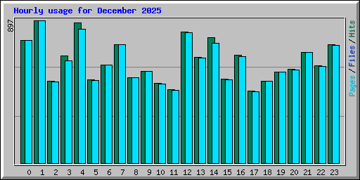 Hourly usage for December 2025