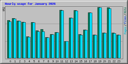 Hourly usage for January 2026