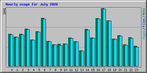 Hourly usage for July 2026